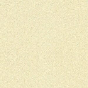 Vải dán tường sợi thủy tinh VY2061